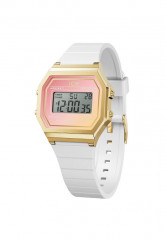 ICE WATCH 022716